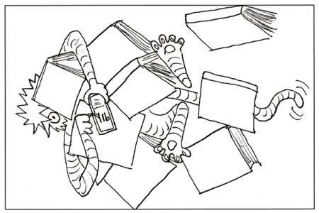 Blog 02 McTavish-concussion